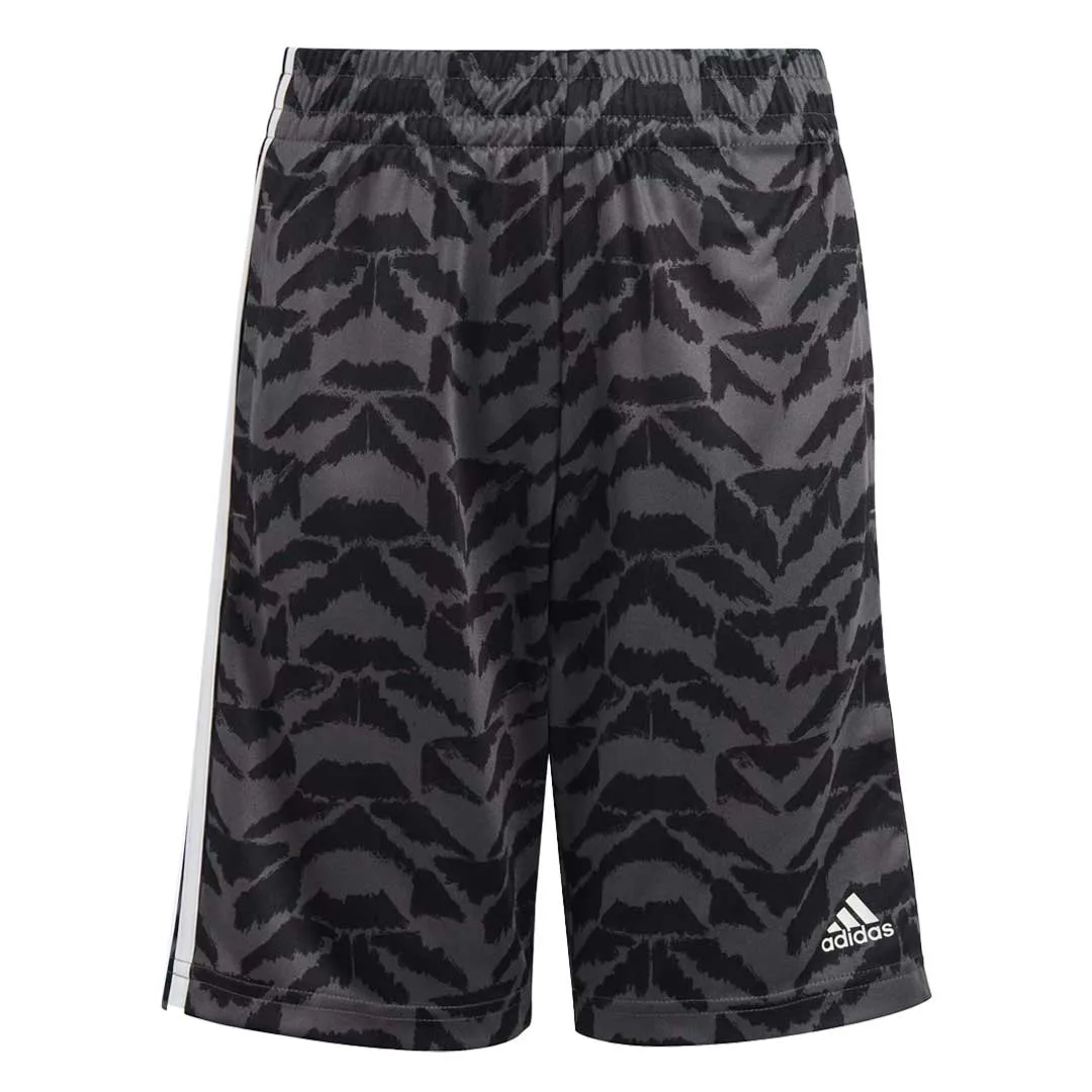adidas - Kids' (Junior) Football Celebration Shorts (HR6392)