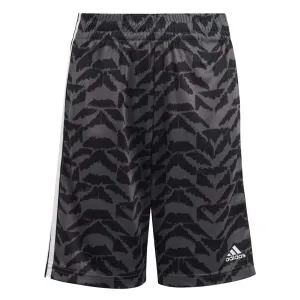 adidas - Kids' (Junior) Football Celebration Shorts (HR6392)