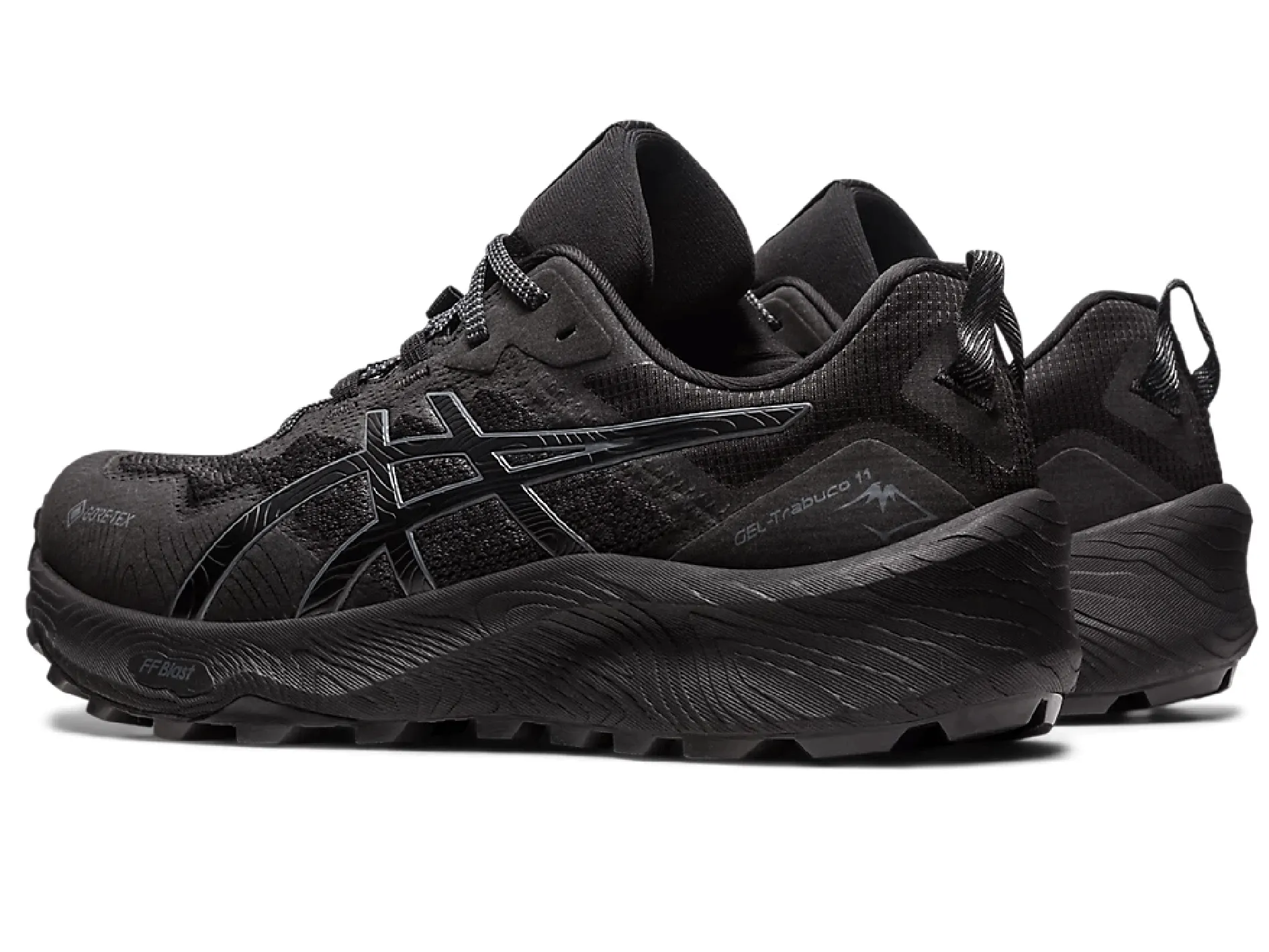 Asics Mens Trabuco 11 GTX Asics Shoes