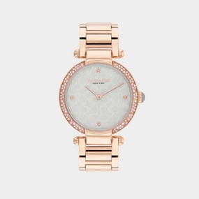Cary Women Quartz Light Grey Mother Of Pearl Dial Analog Stainless Steel Watch 14504184 women watches best women watches affordable women's watches branded women watches