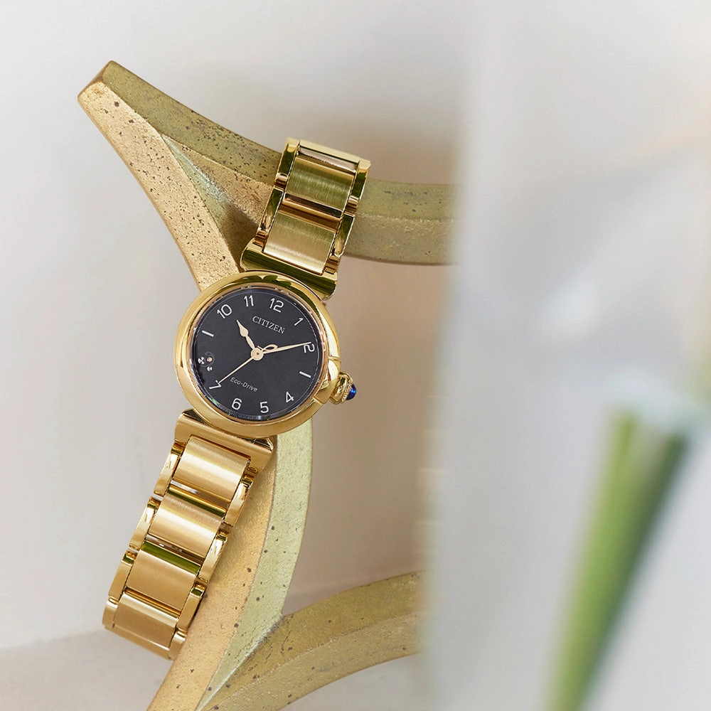 Citizen Eco-Drive EM1132-88H