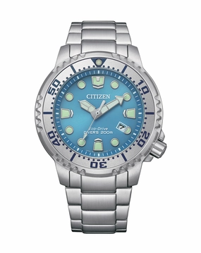 Citizen Promaster Eco-Drive Stainless Steel Blue Dial Watch BN0165-55L 