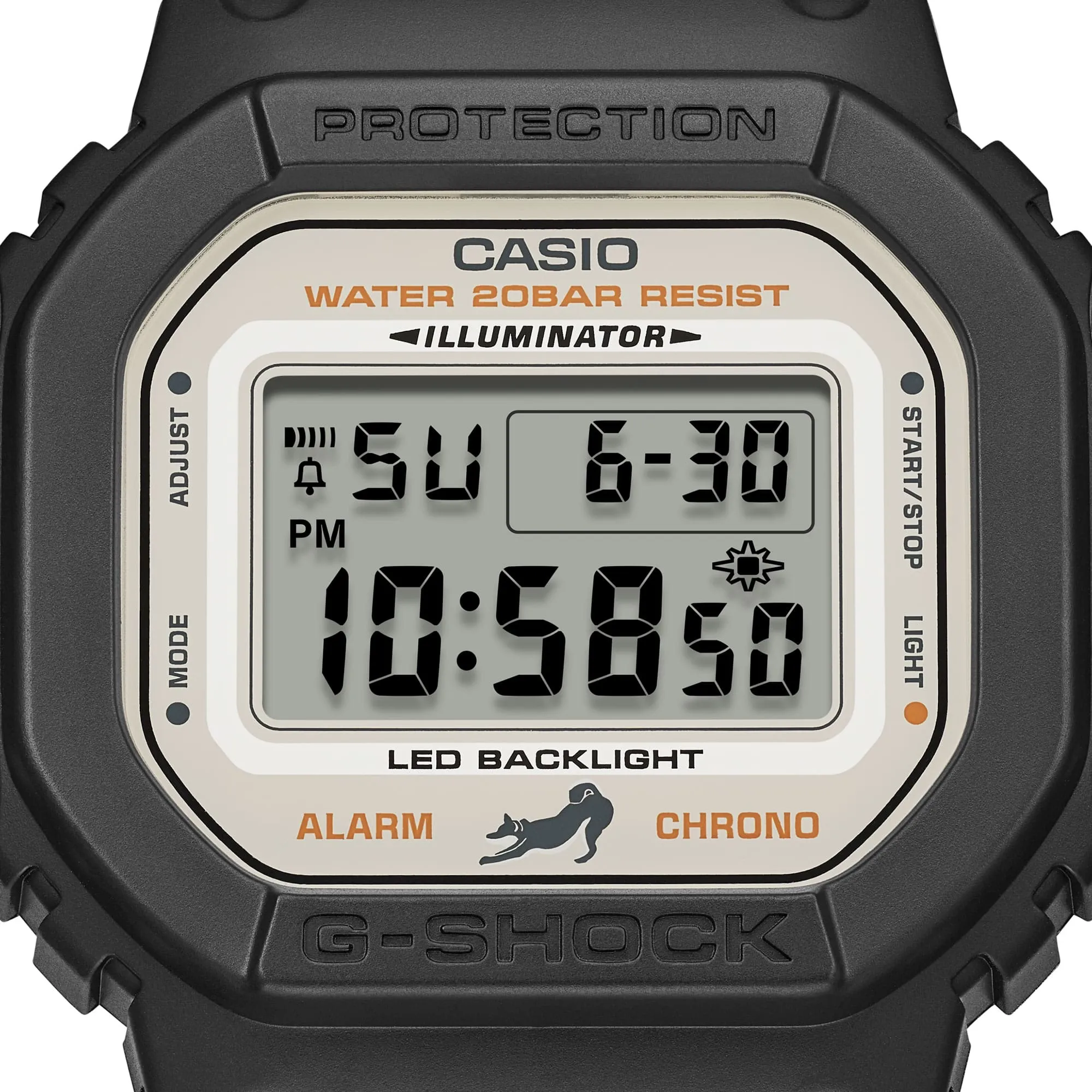 DW5600SHB-1D