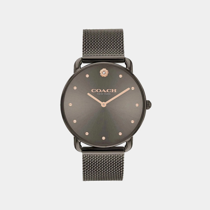 Elliot Women Quartz Brown Dial Analog Mesh Watch 14504210 women watches best women watches affordable women's watches branded women watches