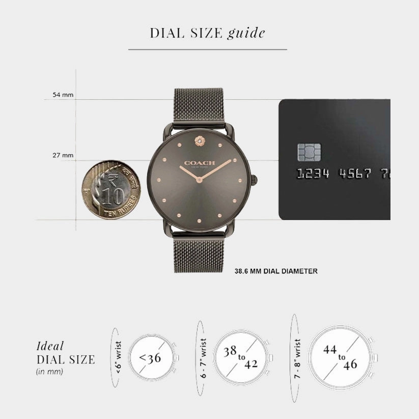 Elliot Women Quartz Brown Dial Analog Mesh Watch 14504210