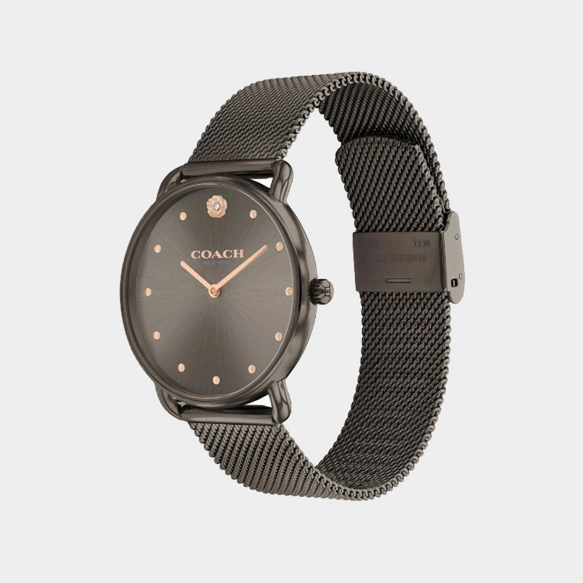 Elliot Women Quartz Brown Dial Analog Mesh Watch 14504210