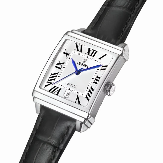 Festina Silver Dial Black Leather Strap Watch f20682/3