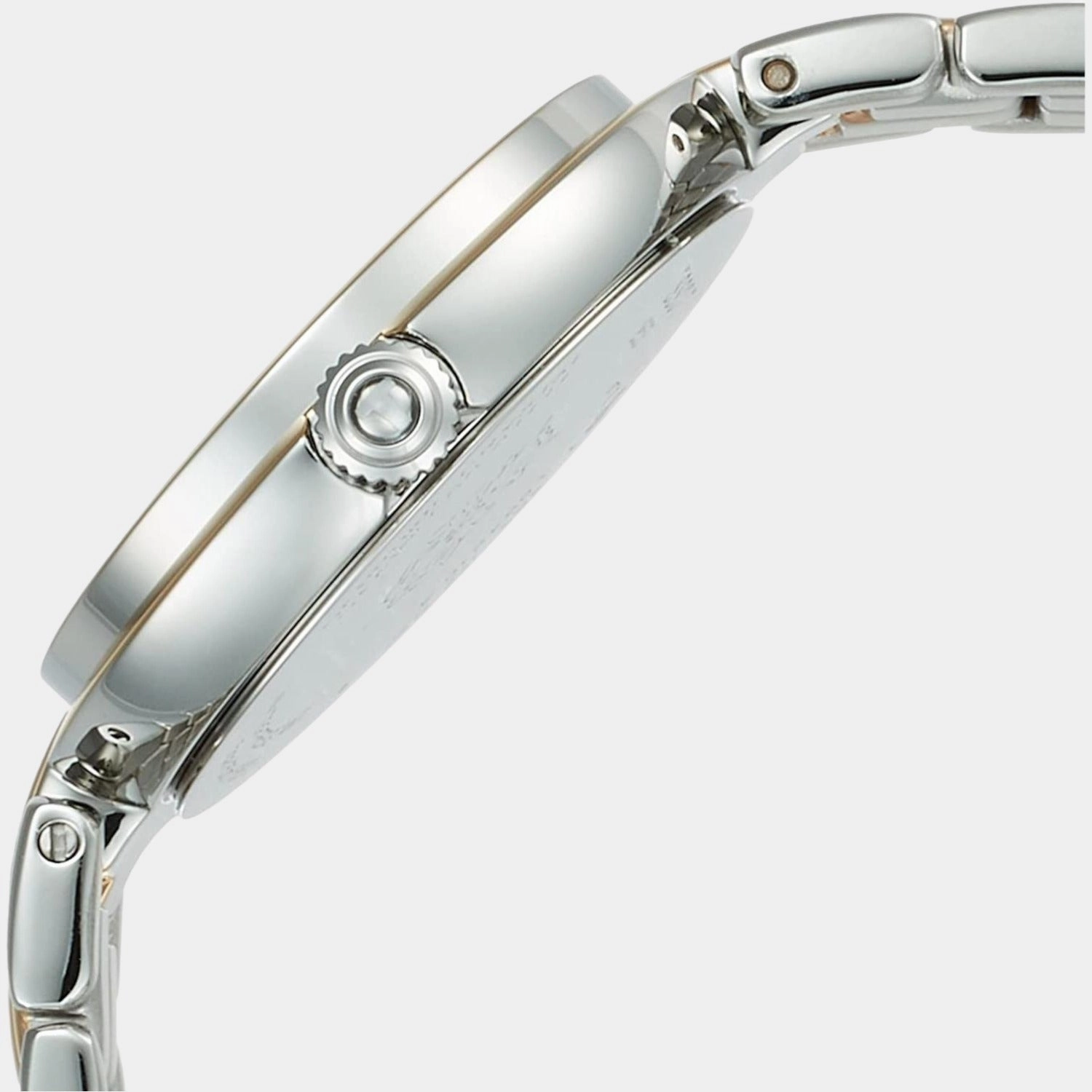 Flamingo Women Analog Stainless Steel Watch T0942102211100