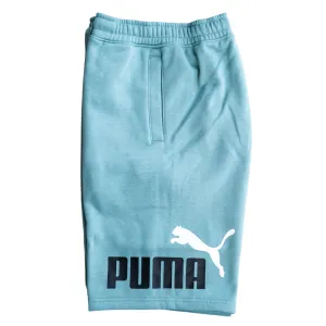 Puma Fleece Big 10' Shorts (Seafoam)