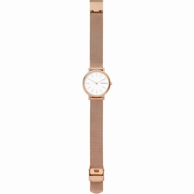 Skagen Signatur Ladies Watch SKW2694