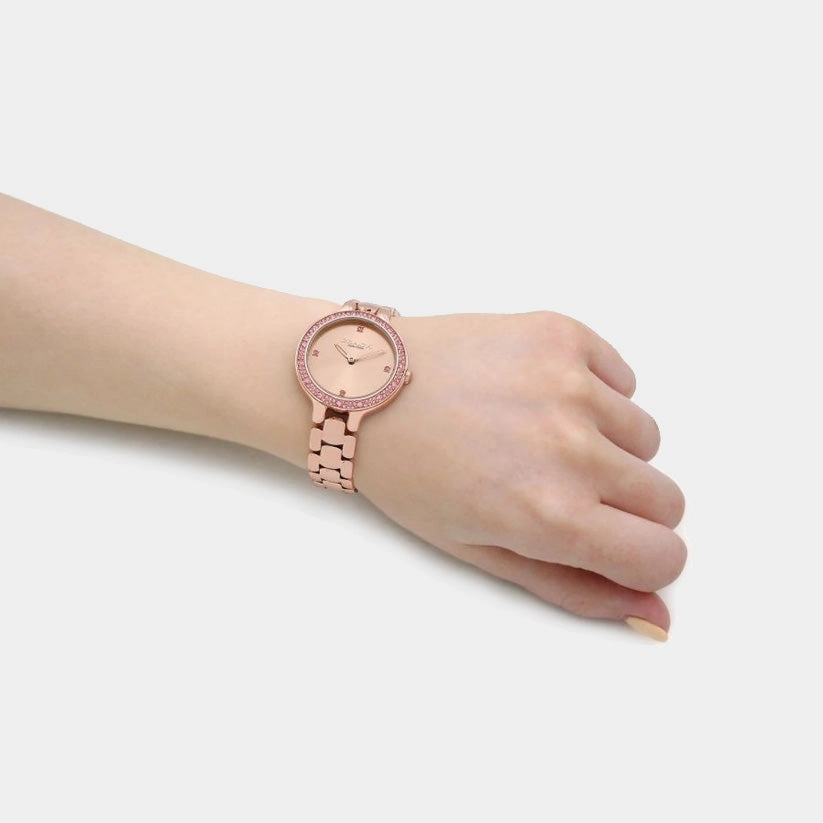 Women Quartz Carnation Gold Dial Analog Stainless Steel Watch 14504126
