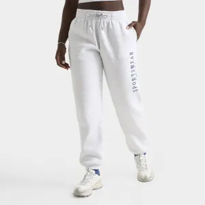 Womens Nike Nike Sportswear Women's Phoenix Fleece High-Rise Oversized Pants Birch Heather / Deep Royal Blue